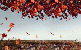 别再问“黑料不”入口在哪了：你更该问怎么避开隐私泄露看完你就懂我为什么不敢点。