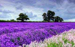 【紧急】业内人士在昨日深夜遭遇爆料 窒息，蘑菇影视在线观看全网炸锅，详情揭秘