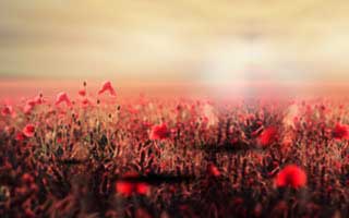 【紧急】业内人士在昨日深夜遭遇爆料 窒息，蘑菇影视在线观看全网炸锅，详情揭秘