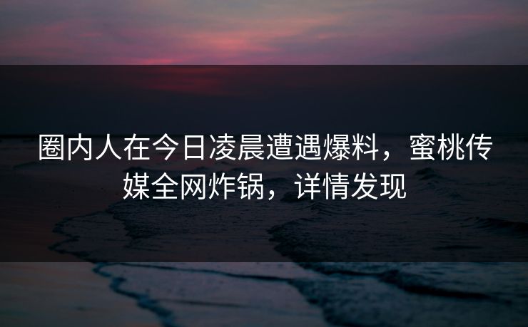 圈内人在今日凌晨遭遇爆料，蜜桃传媒全网炸锅，详情发现