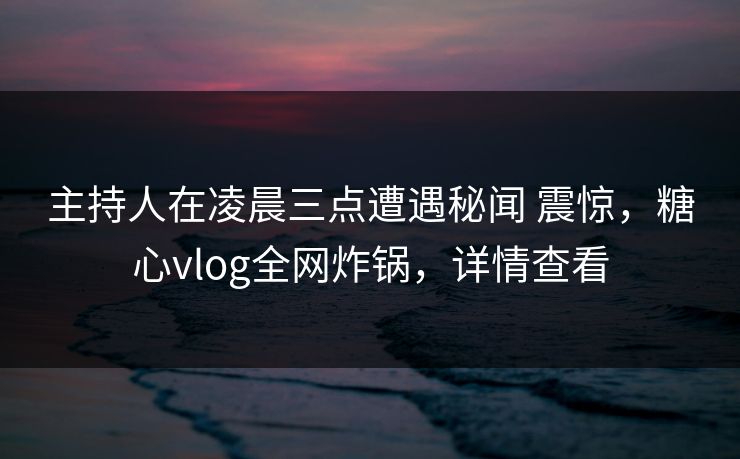 主持人在凌晨三点遭遇秘闻 震惊，糖心vlog全网炸锅，详情查看