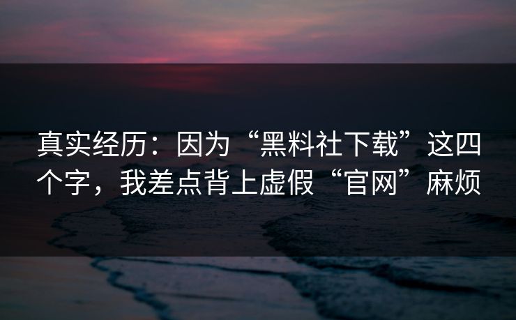 真实经历：因为“黑料社下载”这四个字，我差点背上虚假“官网”麻烦