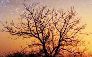 这剧情真的离谱——麻豆影业在线爆了-最上头的社区热帖，答案就在一个细节里（隐藏彩蛋）